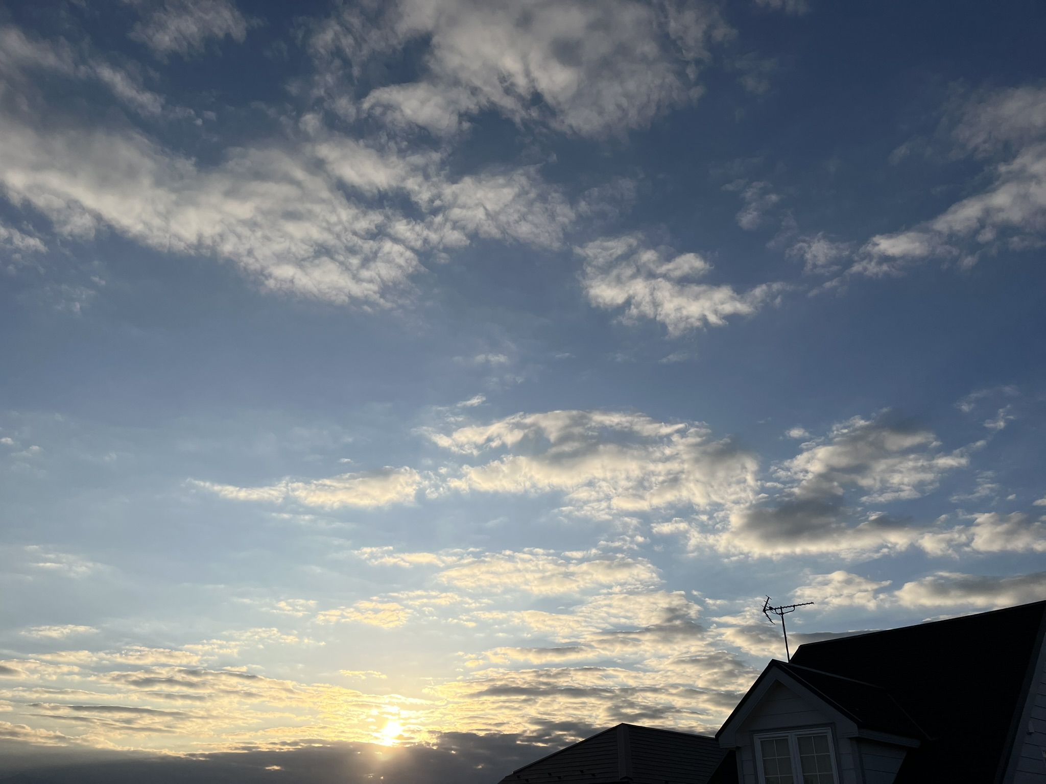 エマコッカーナヘアオイル【どこで売ってるの？どこで買えるの？】ボタニカル成分｜自然由来のオイル｜